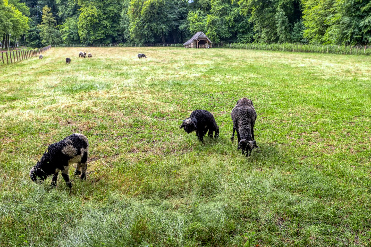 Foto 34 van Randenbroekerweg 164