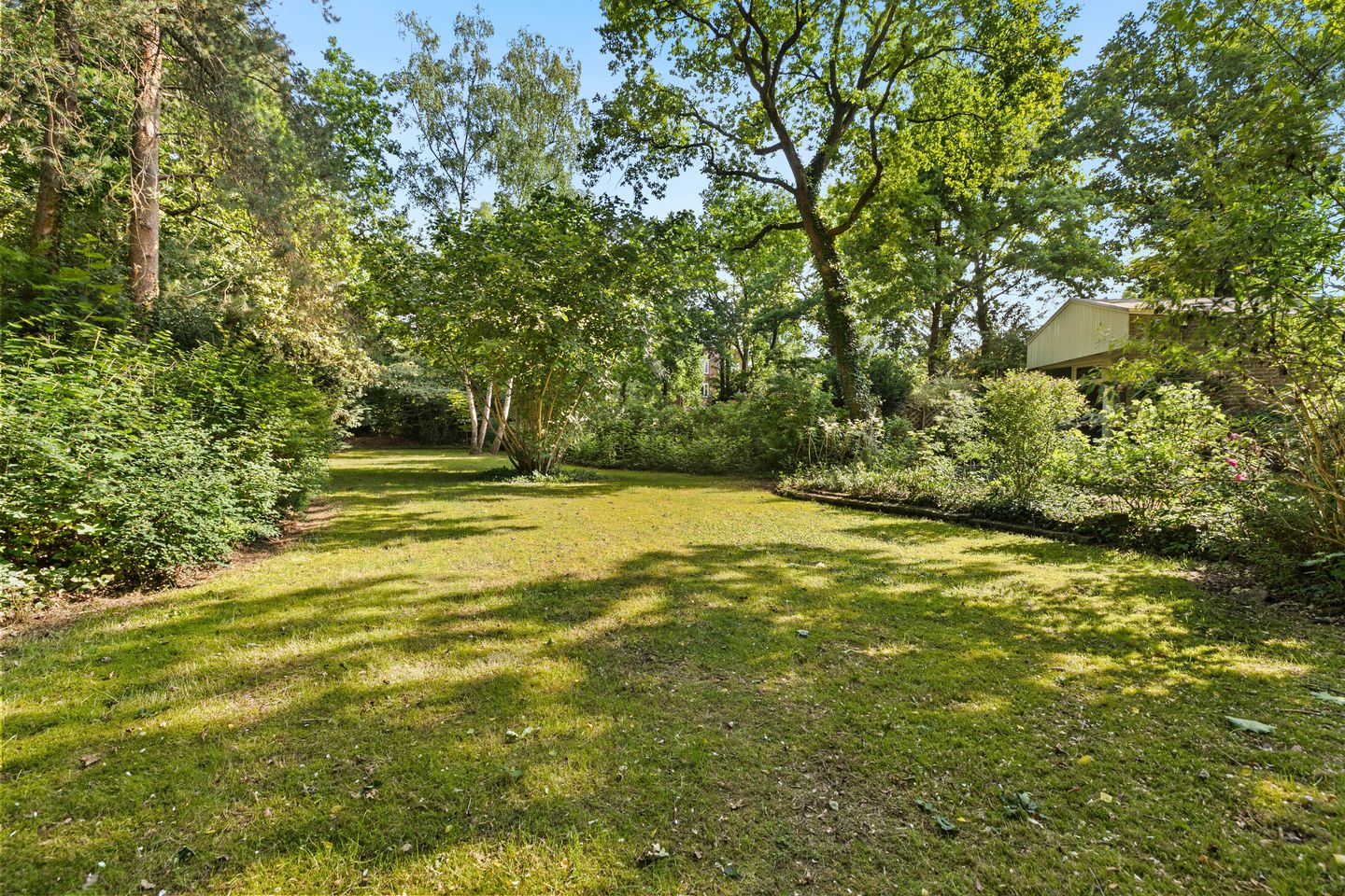 Foto 29 van Burgemeester Korthals Alteslaan 45