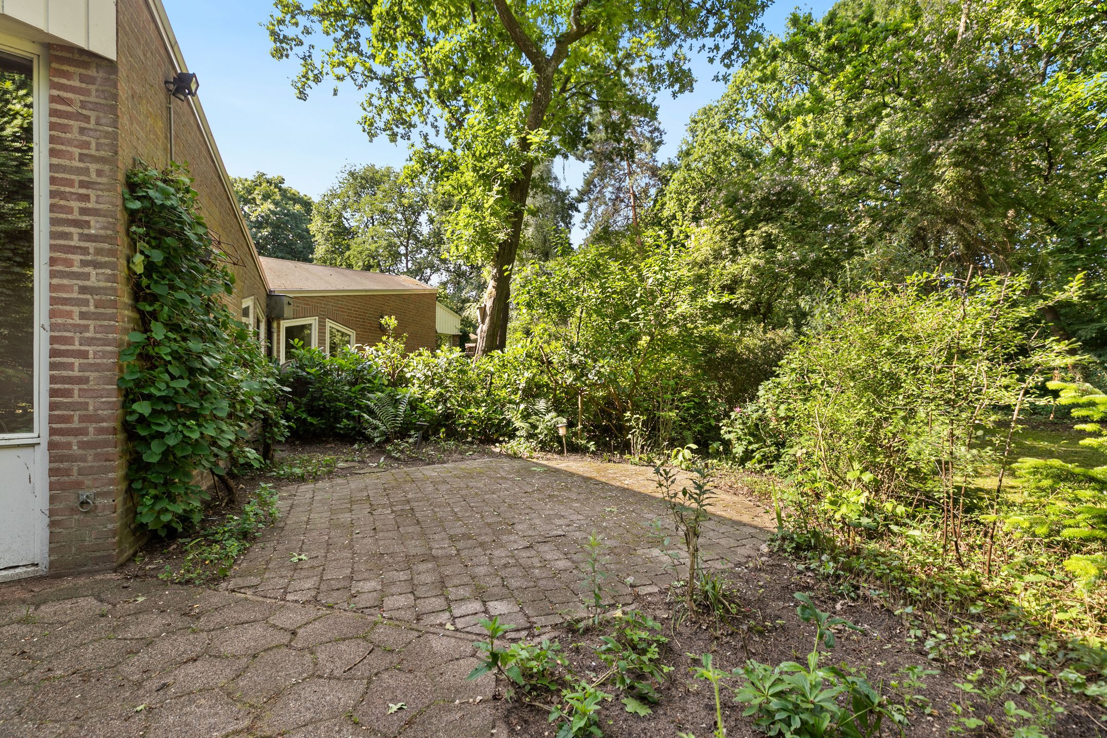 Foto 30 van Burgemeester Korthals Alteslaan 45