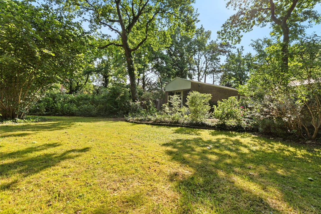 Foto 31 van Burgemeester Korthals Alteslaan 45