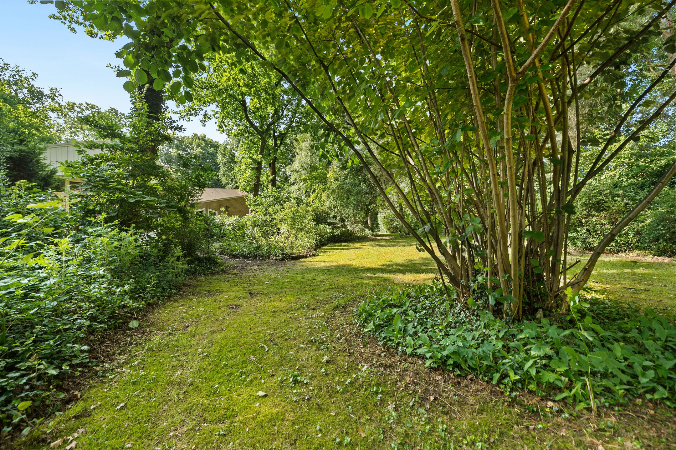 Foto 33 van Burgemeester Korthals Alteslaan 45