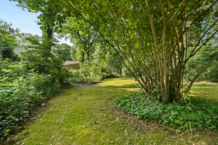 Foto 33 van Burgemeester Korthals Alteslaan 45