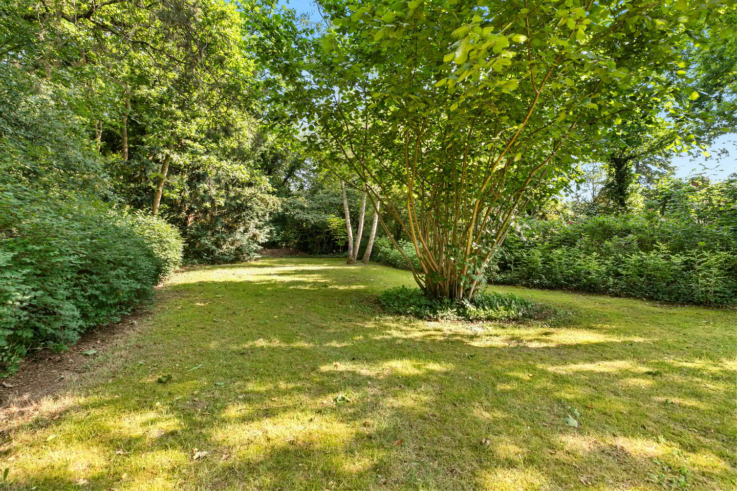 Foto 35 van Burgemeester Korthals Alteslaan 45