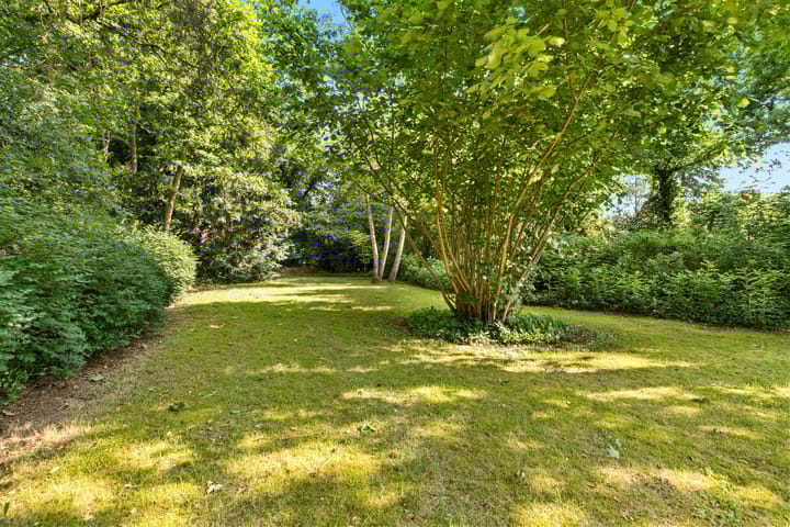 Foto 35 van Burgemeester Korthals Alteslaan 45