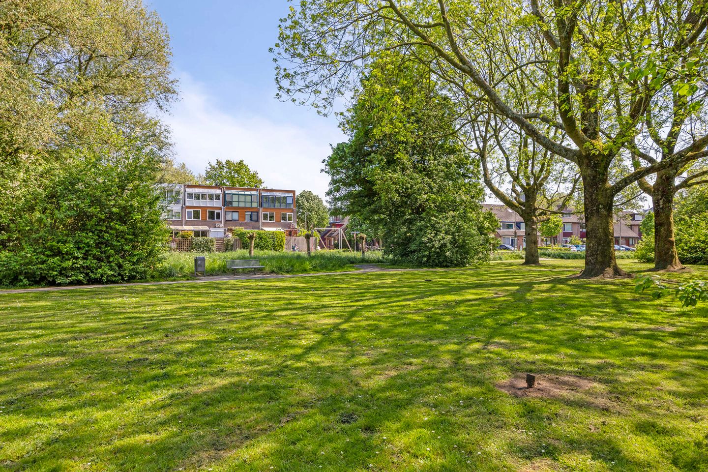 Foto 10 van Medeaschouw 6