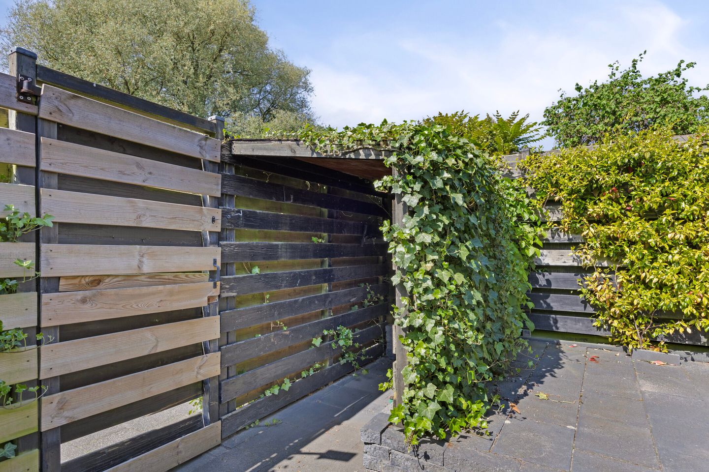 Foto 34 van Medeaschouw 6