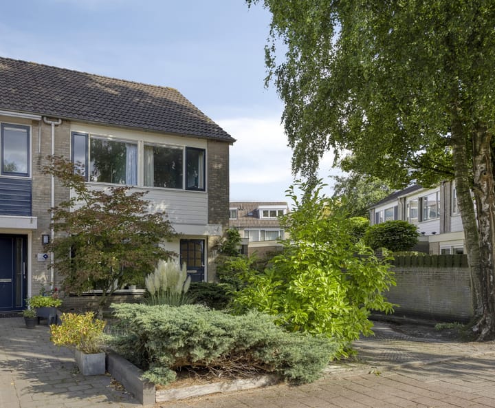 Foto 6 van Kamgras 17