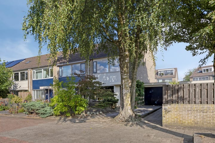 Foto 33 van Kamgras 17