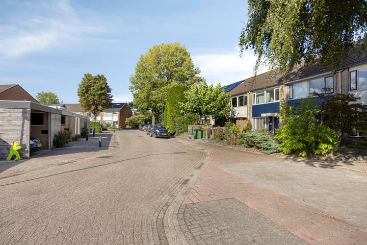 Foto 34 van Kamgras 17