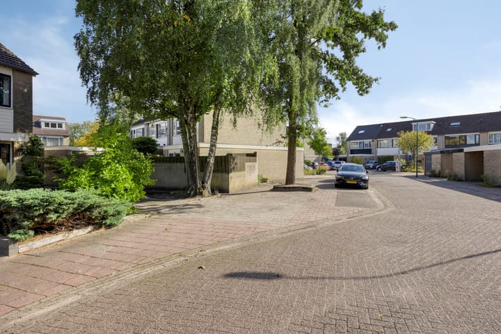 Foto 35 van Kamgras 17