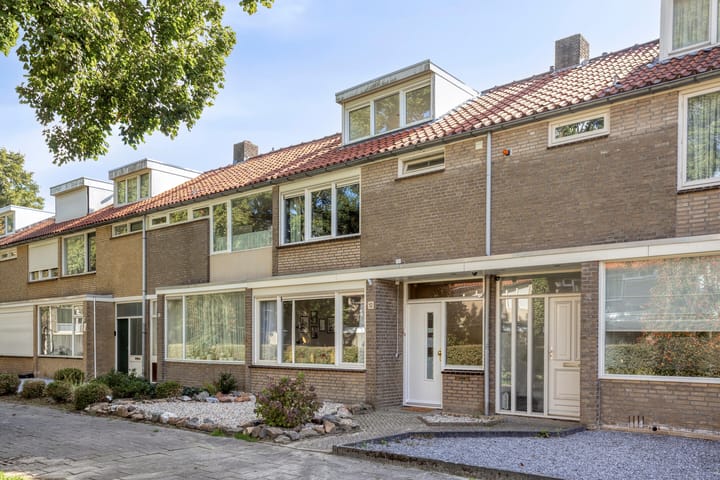 Foto 2 van Pieter Borpad 12