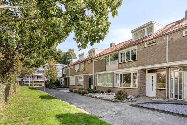 Foto 3 van Pieter Borpad 12