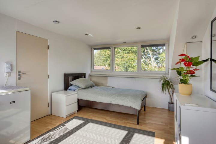 Foto 29 van Pieter Borpad 12