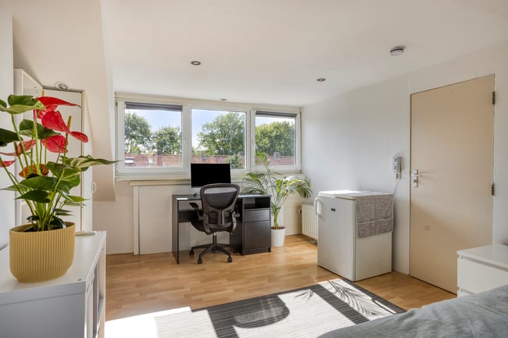 Foto 30 van Pieter Borpad 12