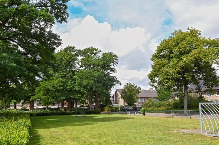 Foto 35 van Pieter Borpad 12