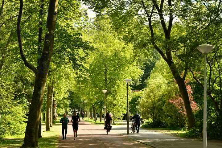 Foto 24 van Frederiksstraat 18-H