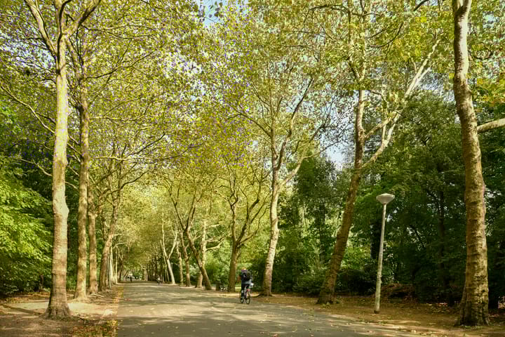 Foto 25 van Frederiksstraat 18-H