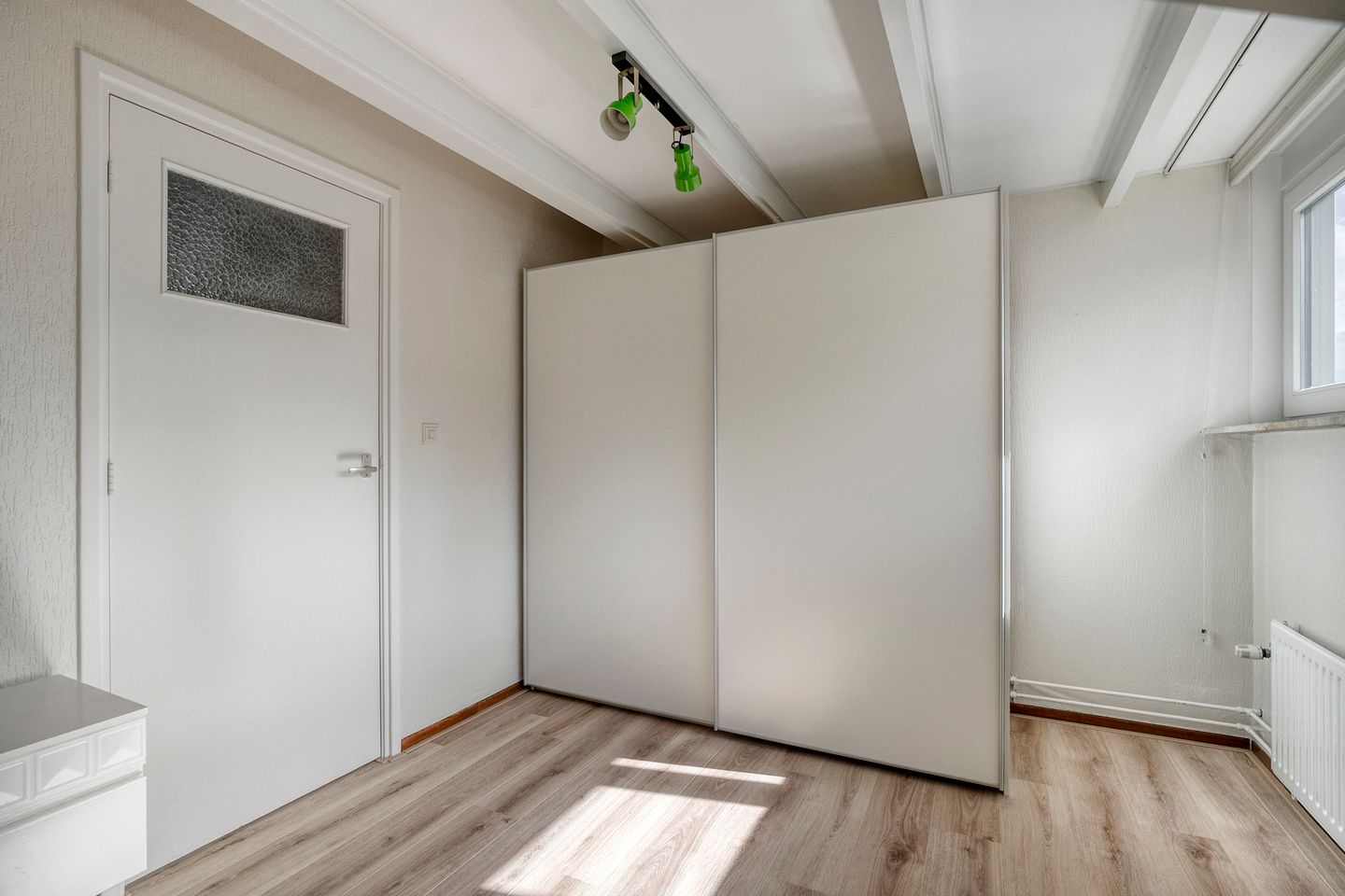 Foto 29 van Moerasvaren 30