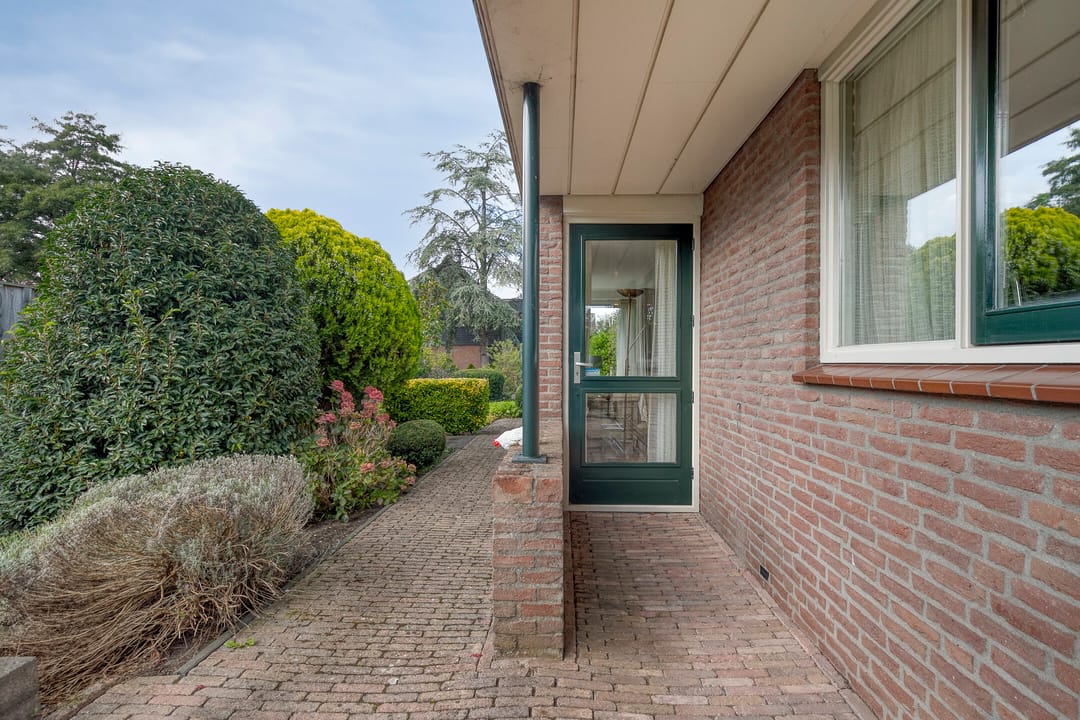 Foto 38 van Moerasvaren 30