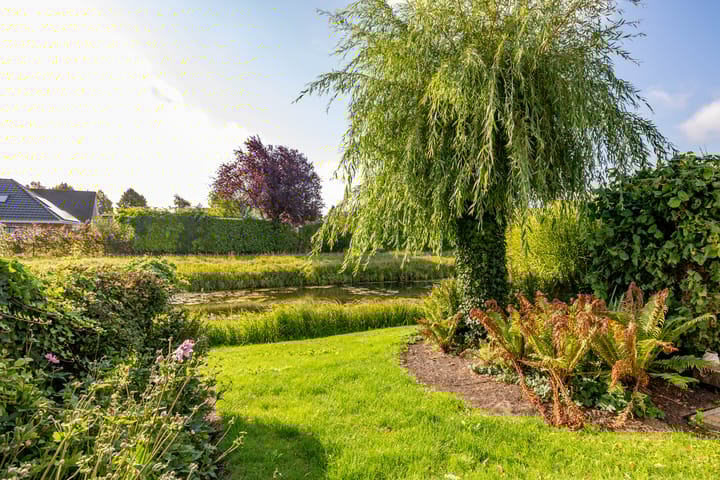 Foto 50 van Weegbree 11