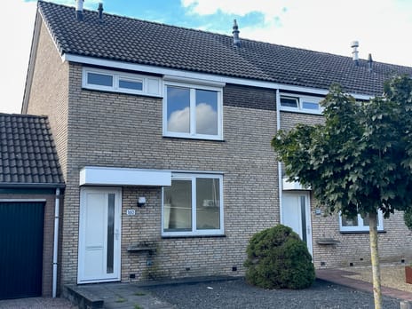 undefined main image