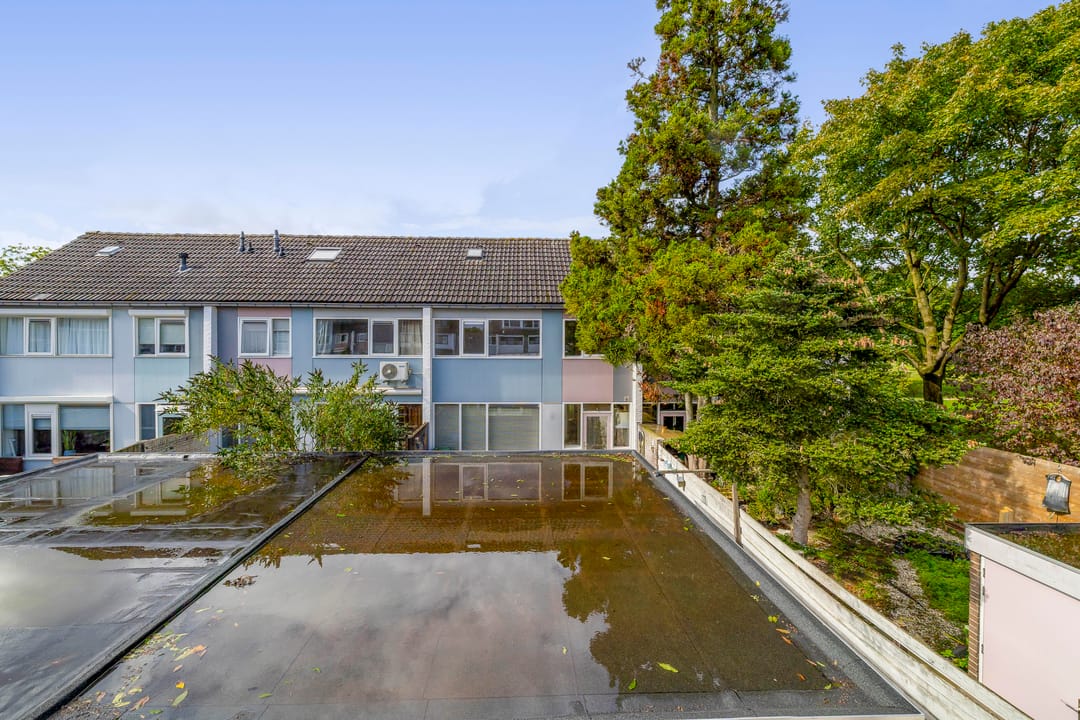 Photo 17 of Heilige Stoel 4206