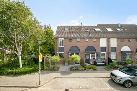 undefined main image