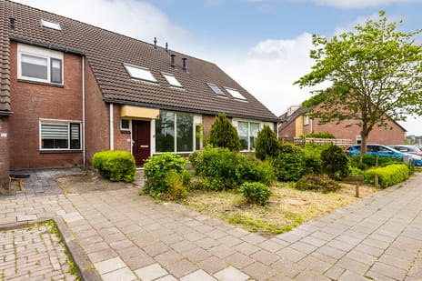 Duizendblad 61