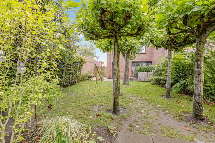 Foto 40 van Guadeloupestraat 8