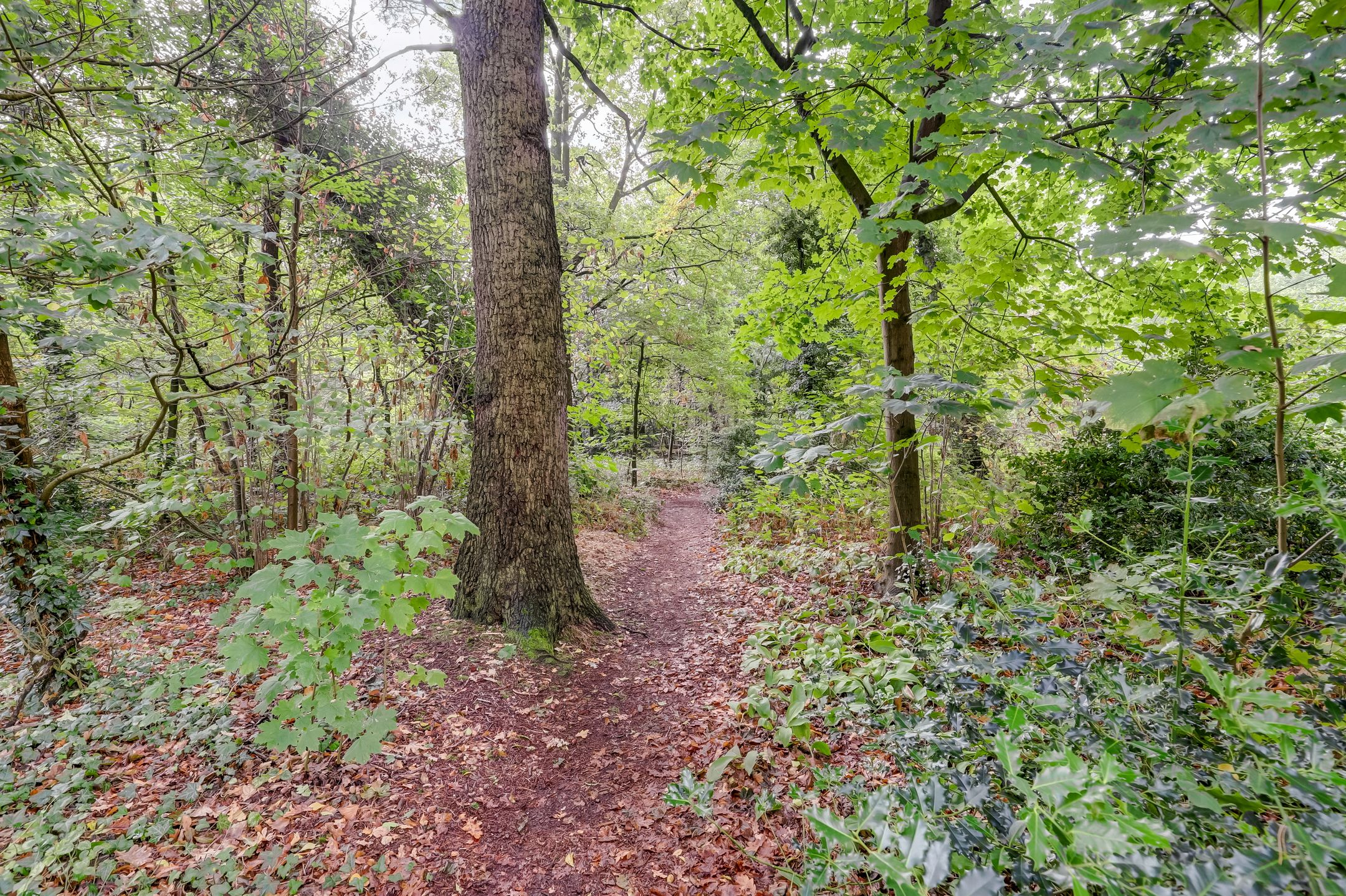 Foto 39 van Pastoor van Soevershemstraat 15