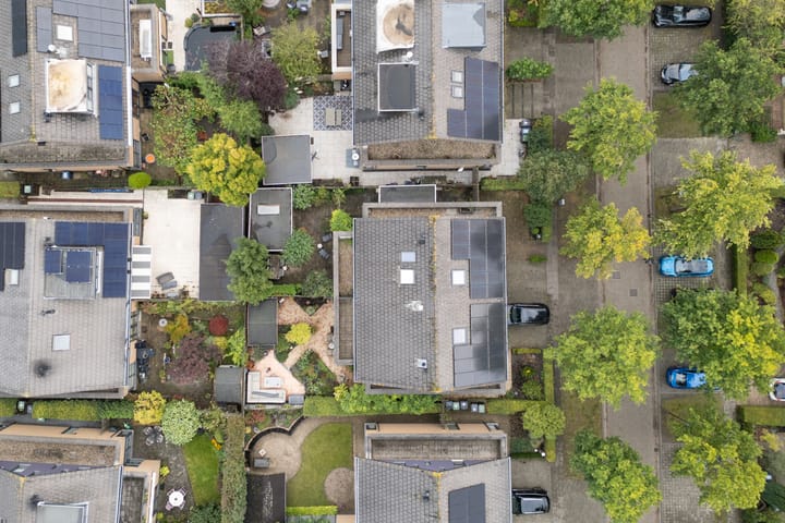 Foto 59 van Februaristraat 132