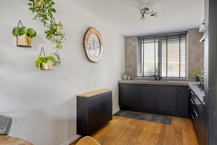 Photo 10 of Visarend 47