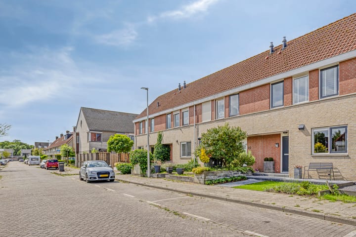 Photo 23 of Visarend 47