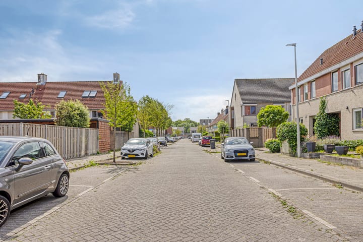 Photo 24 of Visarend 47