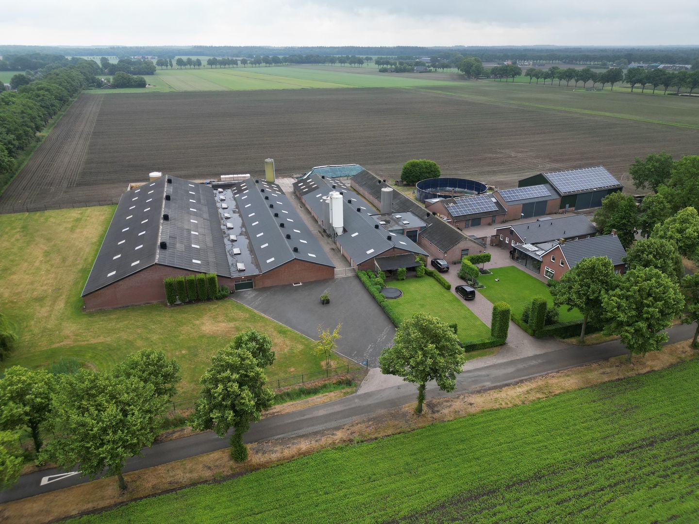 Bekijk foto 1 van Reebos 6