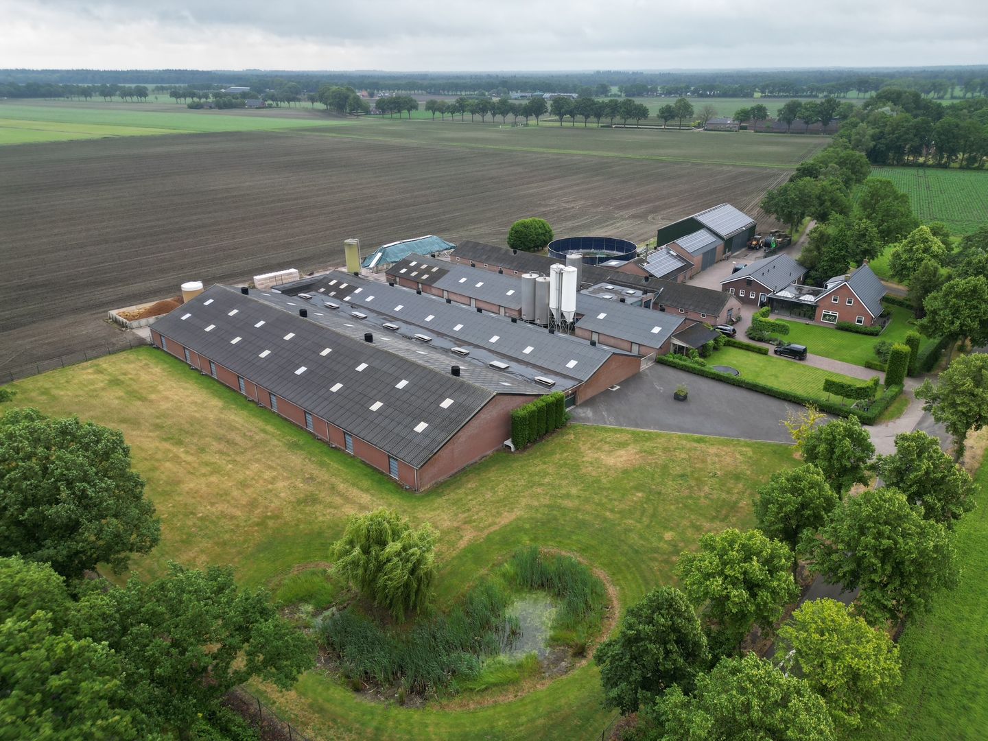 Bekijk foto 2 van Reebos 6
