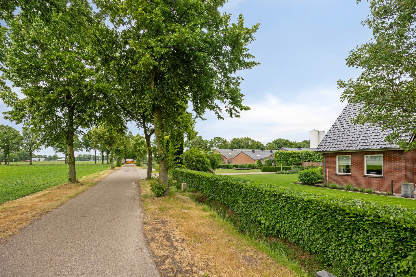 Bekijk foto 5 van Reebos 6