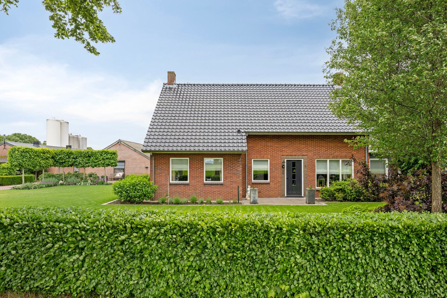Bekijk foto 4 van Reebos 6