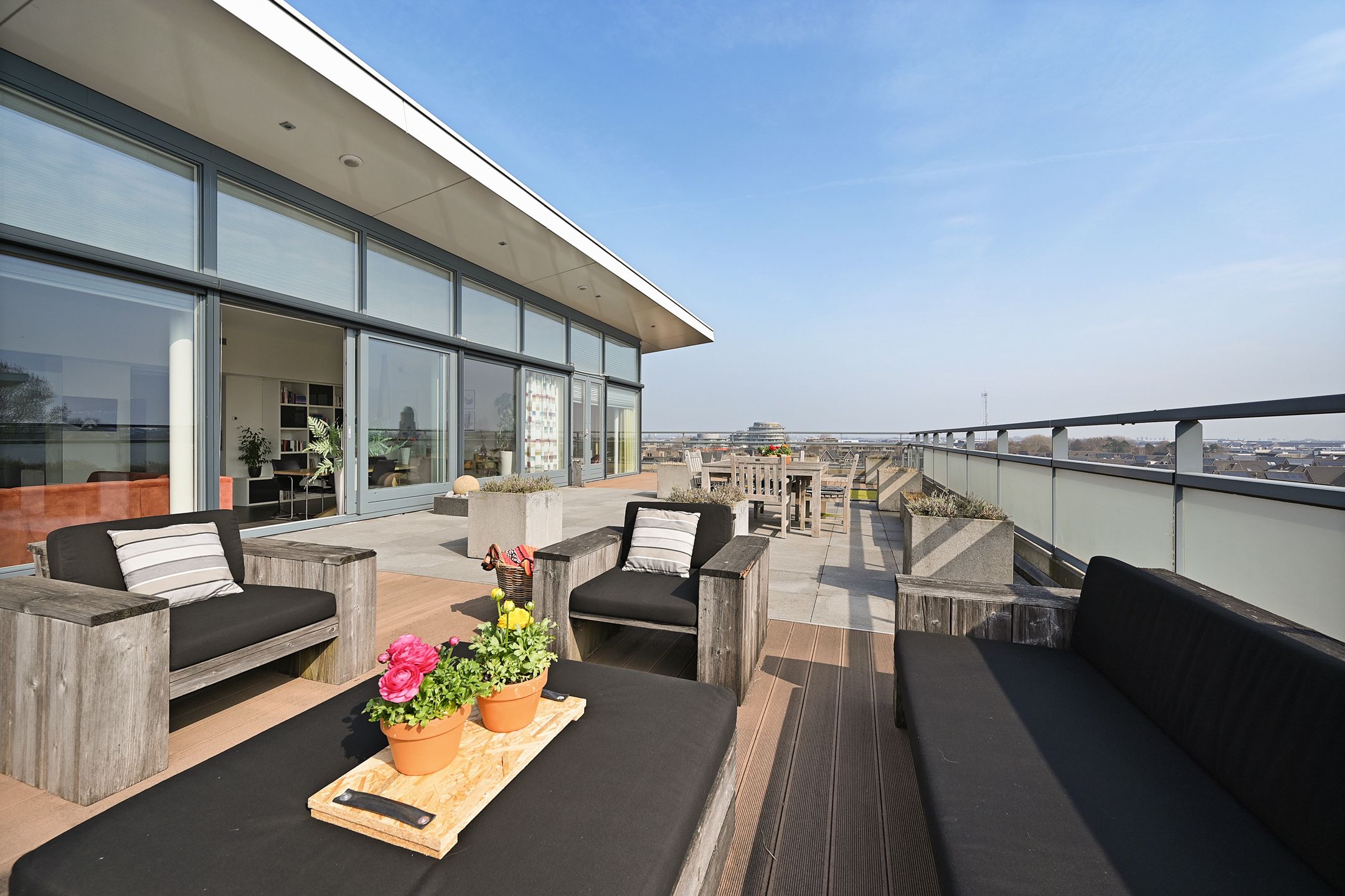 Foto 12 van Duindistel 51