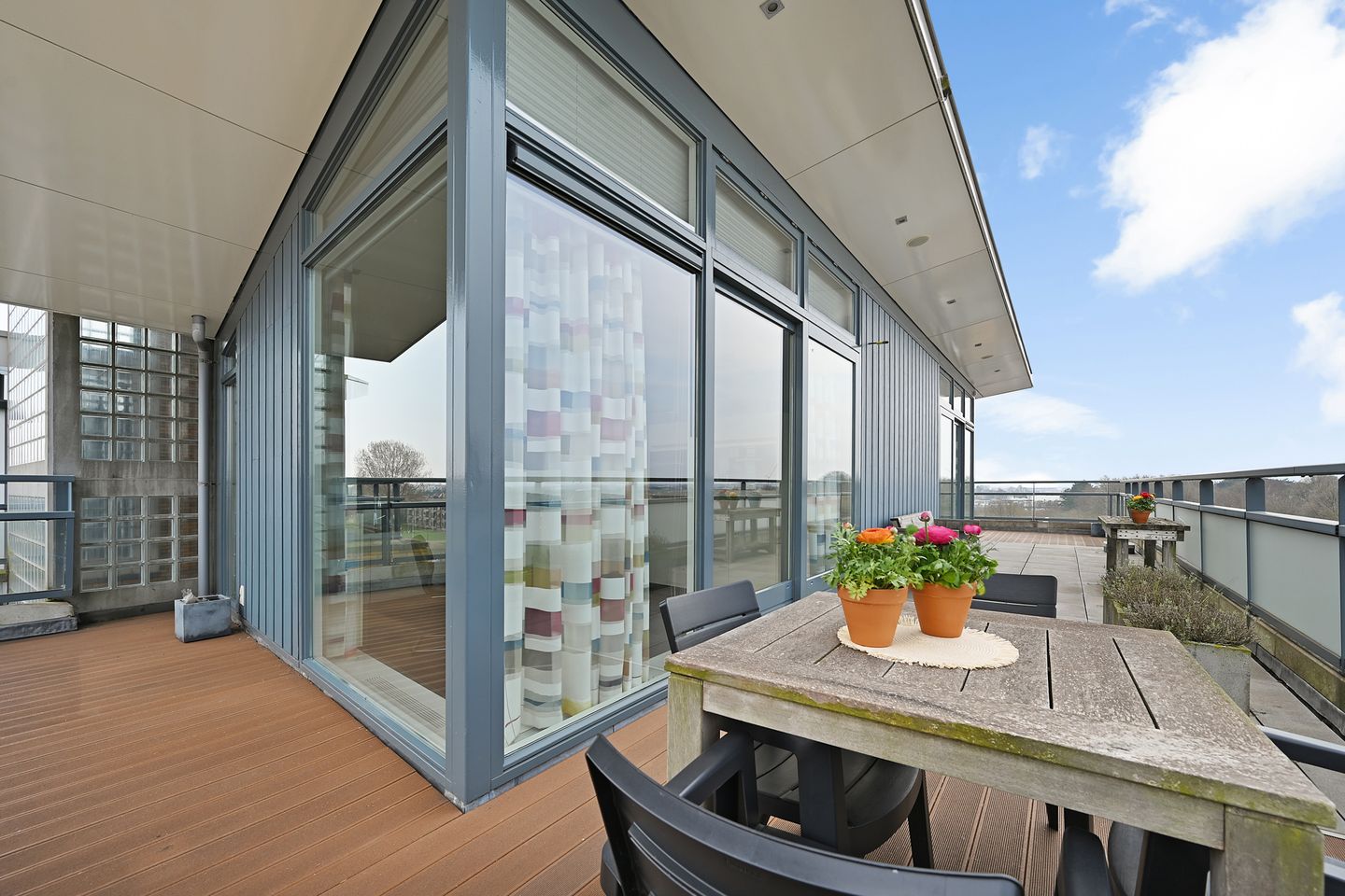 Foto 19 van Duindistel 51