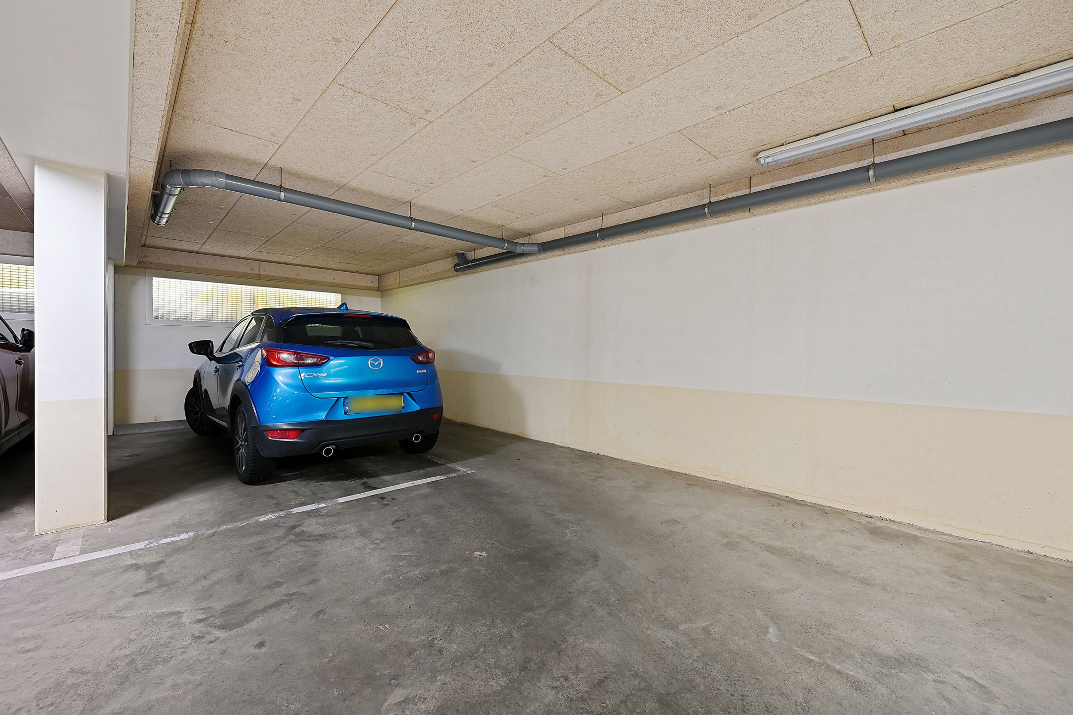 Foto 33 van Duindistel 51