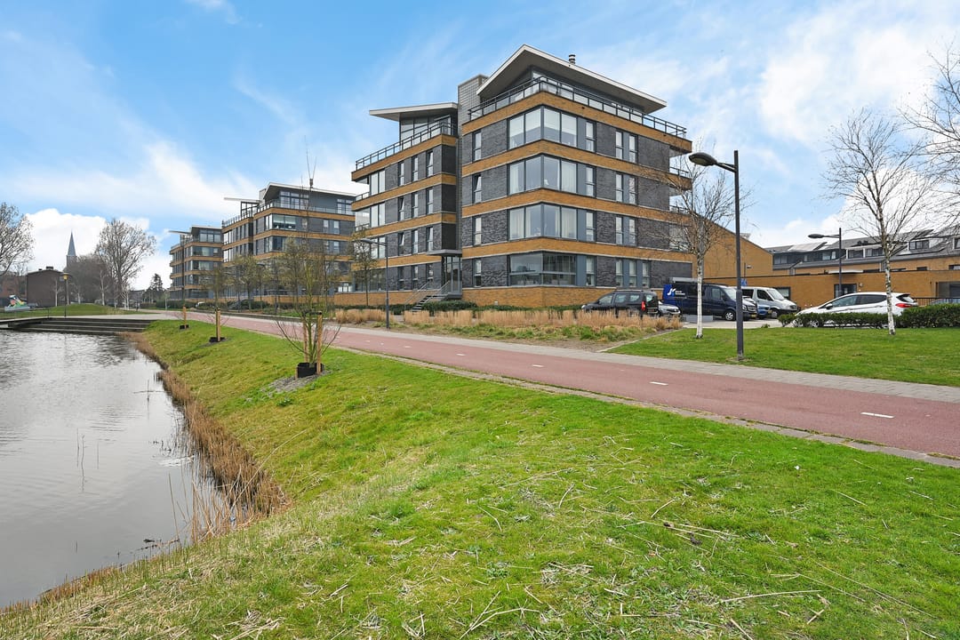 Foto 38 van Duindistel 51