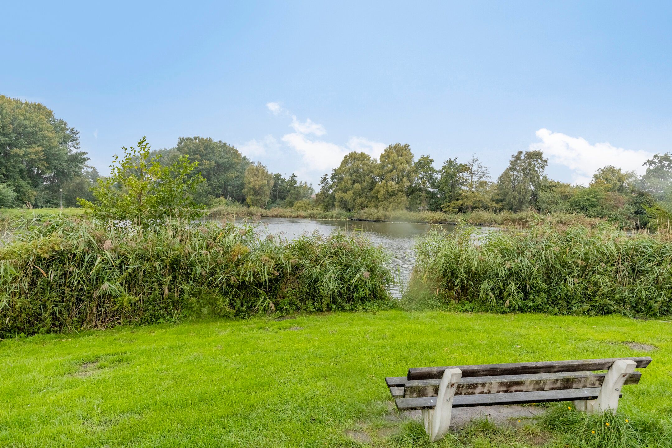 Photo 39 of Cannenburg 16