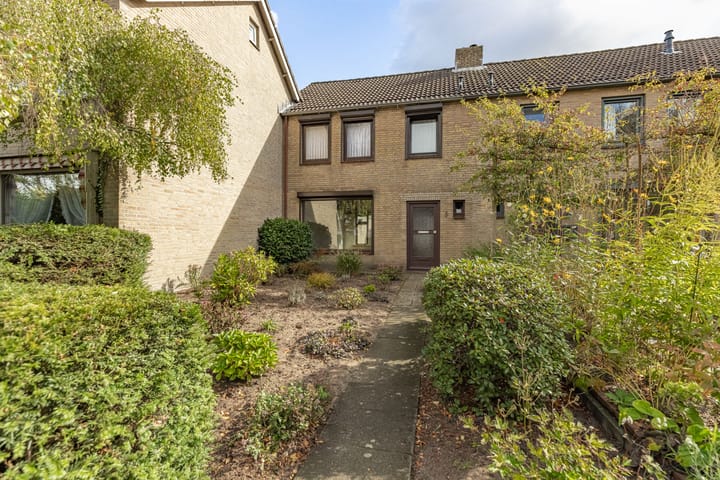 Foto 1 van Papierberk 5