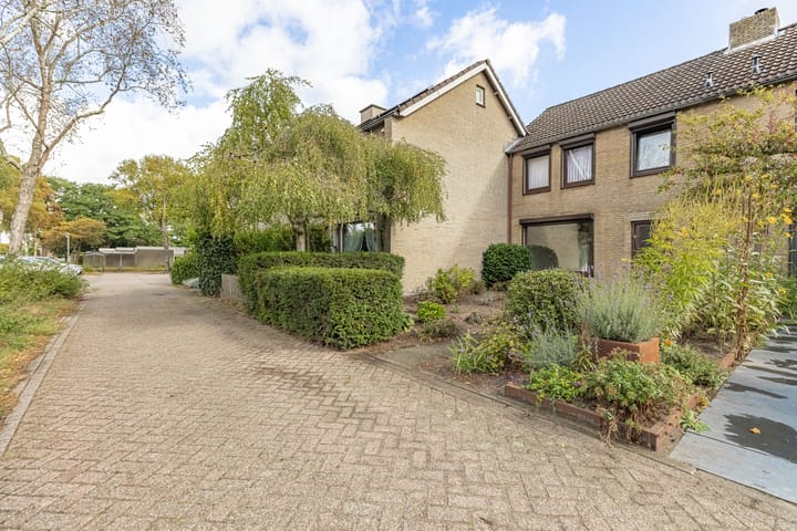 Foto 2 van Papierberk 5