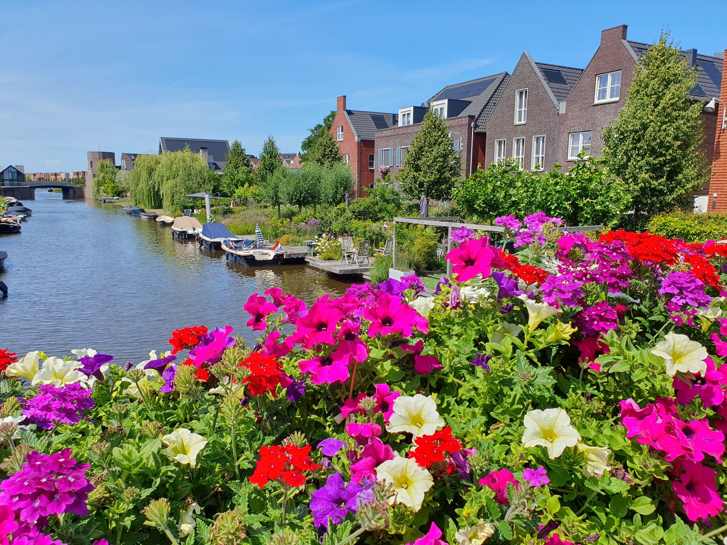 Foto 50 van Baak van Scheveningen 24