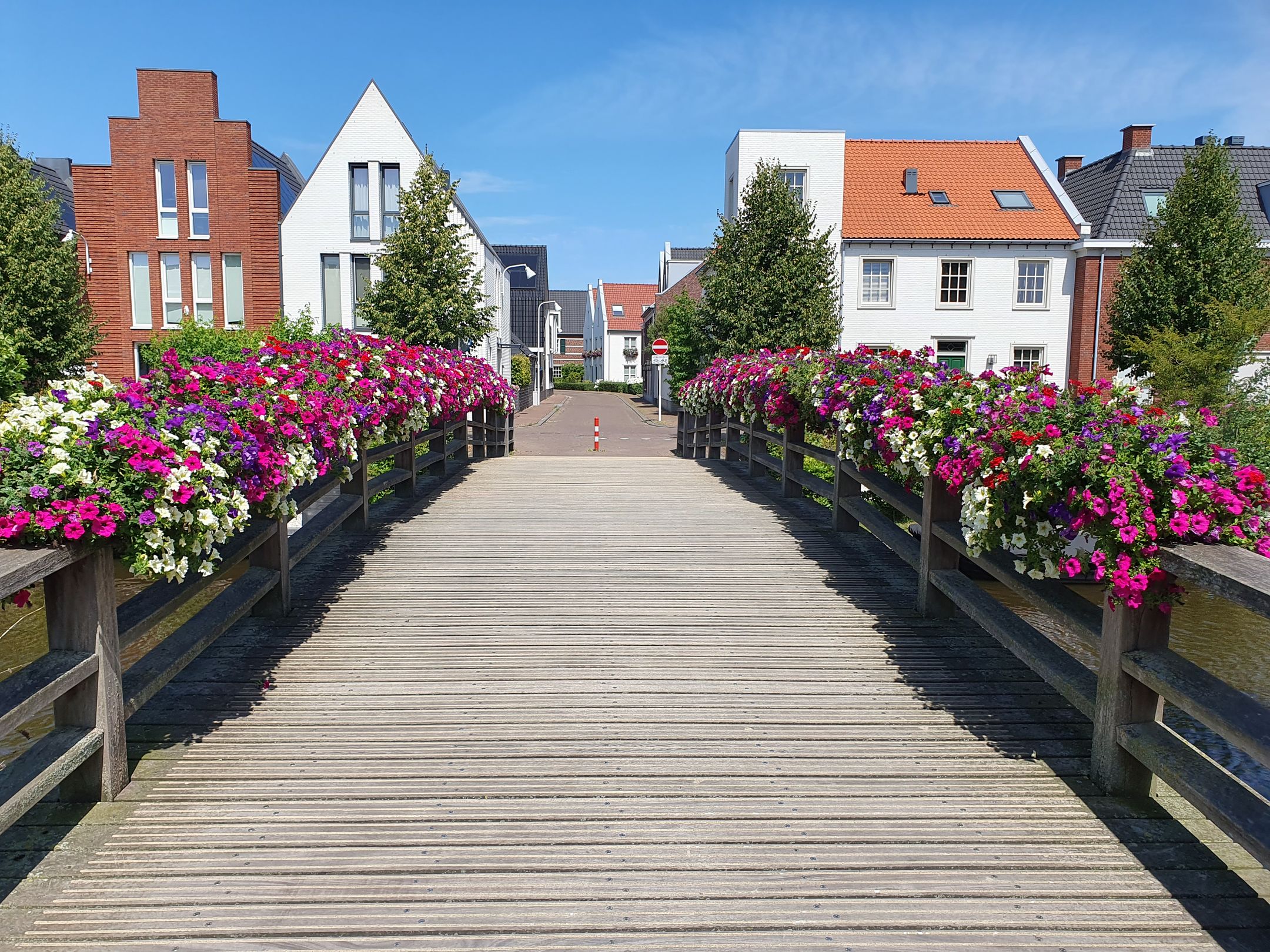 Foto 51 van Baak van Scheveningen 24