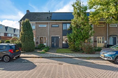 undefined main image