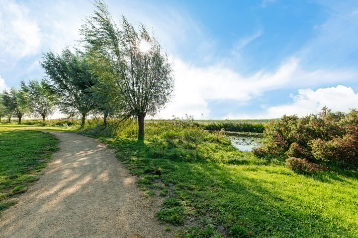 Photo 38 of Arisstraat 3