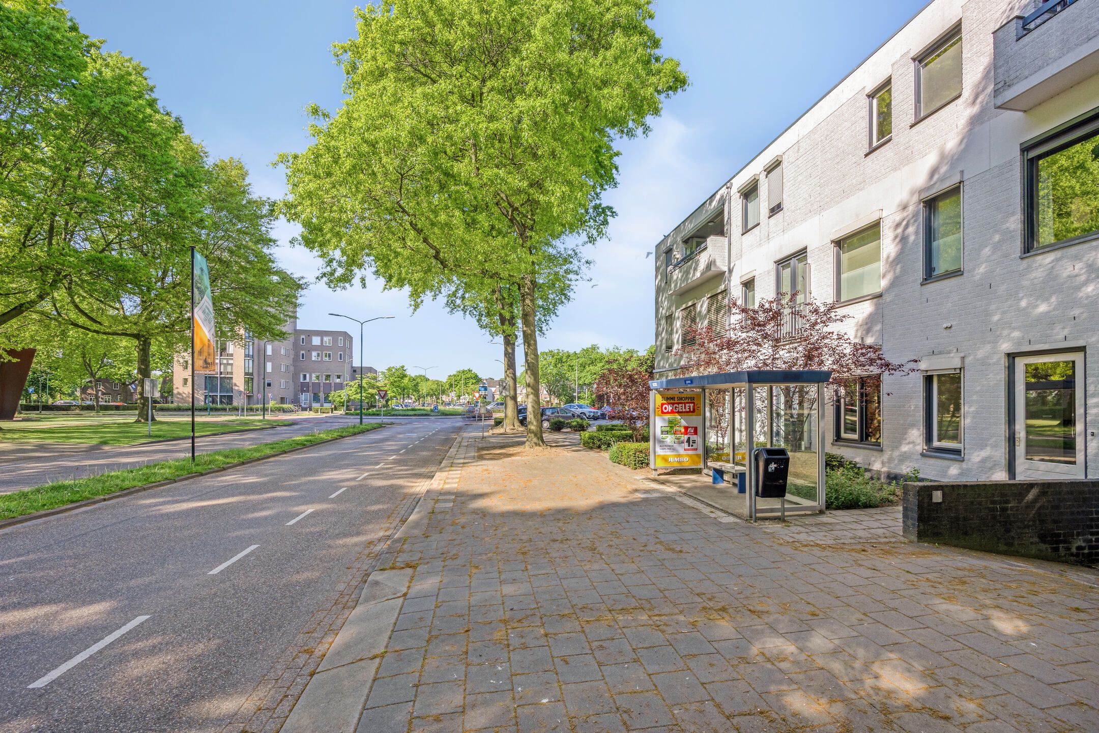 Foto 18 van Raadhuislaan 103